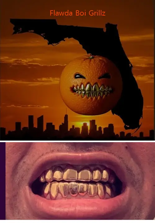 Flawda Boi Grillz