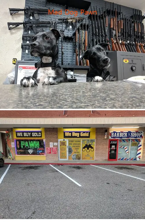 Mad Dog Pawn