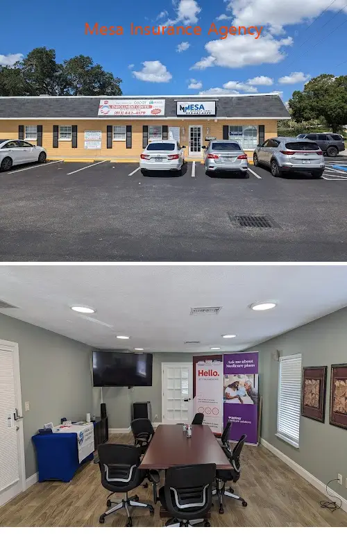 Mesa Insurance Agency
