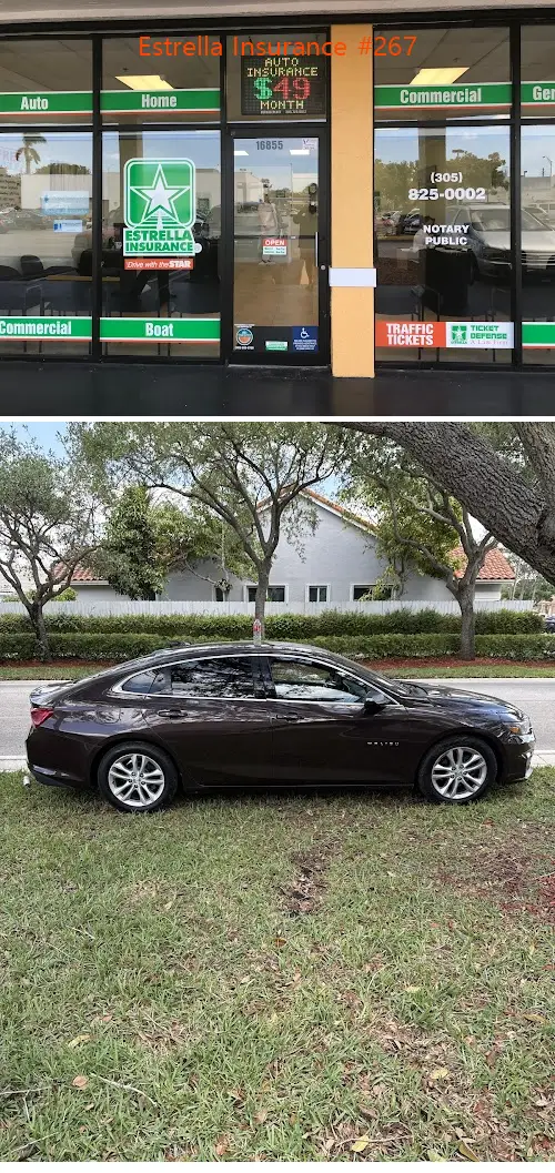 Estrella Insurance #267