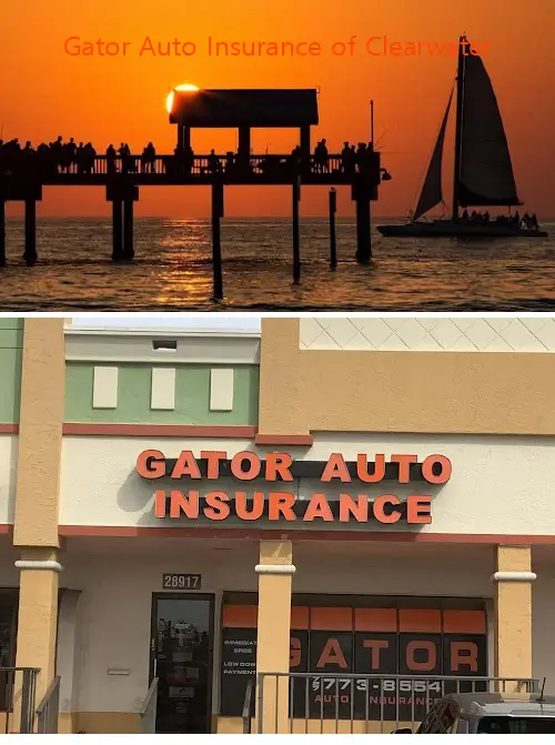 Gator Auto Insurance of Clearwater