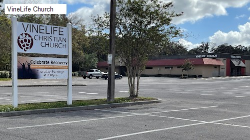 VineLife Church
