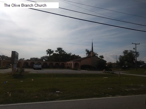 The Olive Branch Church