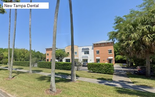 New Tampa Dental