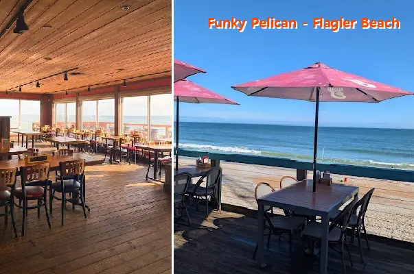 Funky Pelican - Flagler Beach