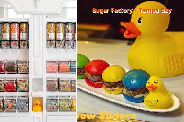 Sugar Factory - Tampa Bay