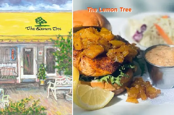 The Lemon Tree