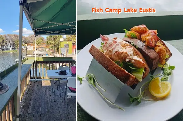 Fish Camp Lake Eustis