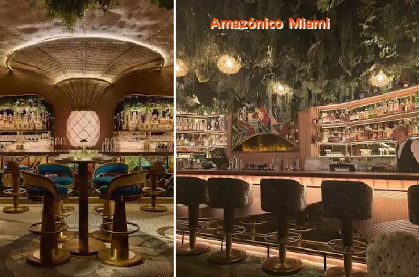 Amazónico Miami
