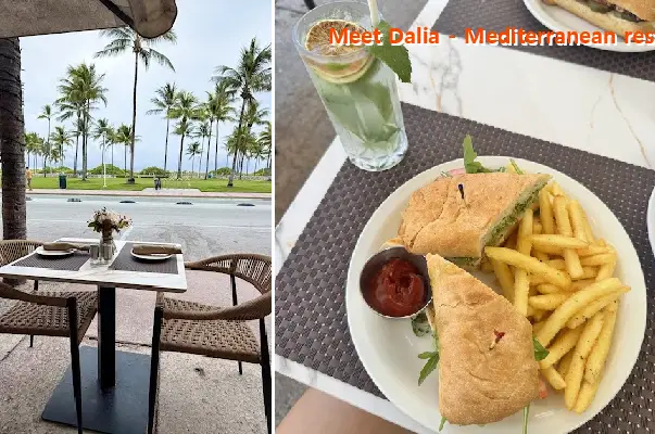 Meet Dalia - Mediterranean restaurant in Miami Beach