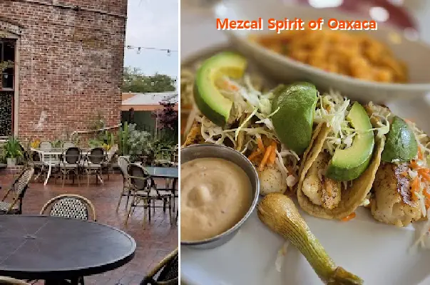 Mezcal Spirit of Oaxaca