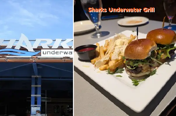 Sharks Underwater Grill