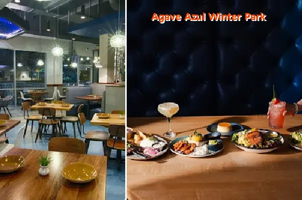 Agave Azul Winter Park