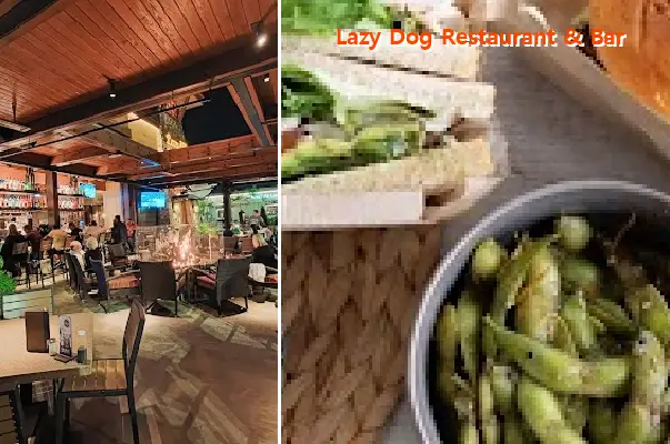 Lazy Dog Restaurant & Bar