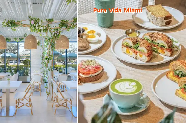 Pura Vida Miami