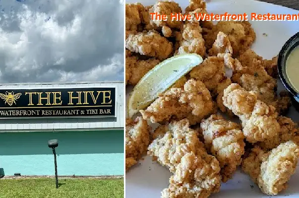 The Hive Waterfront Restaurant & Tiki
