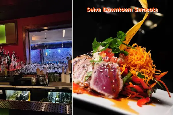 Selva Downtown Sarasota