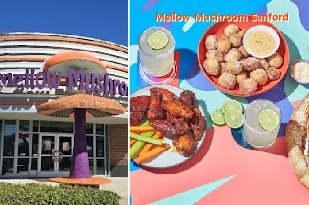 Mellow Mushroom Sanford