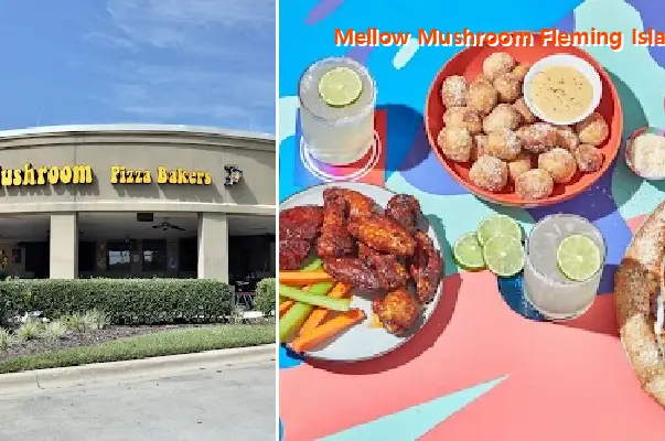 Mellow Mushroom Fleming Island