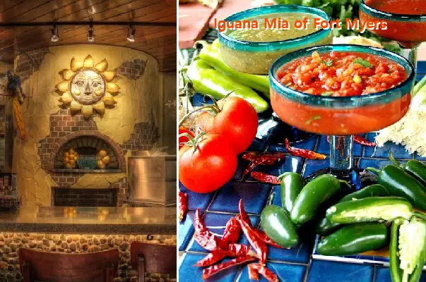 Iguana Mia of Fort Myers