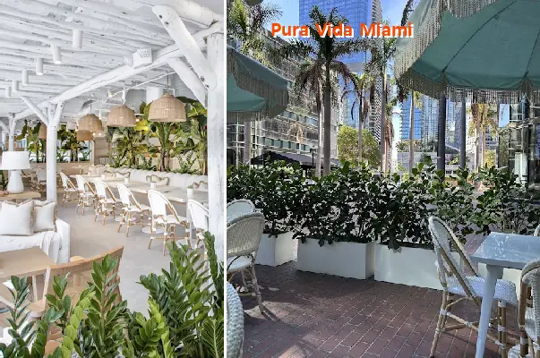 Pura Vida Miami