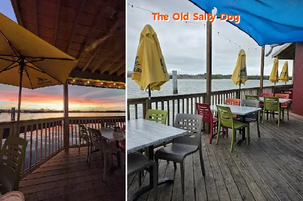 The Old Salty Dog