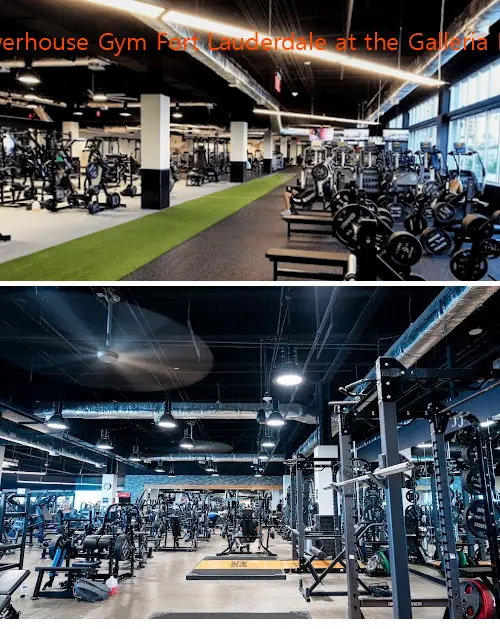 Powerhouse Gym Fort Lauderdale at the Galleria Mall
