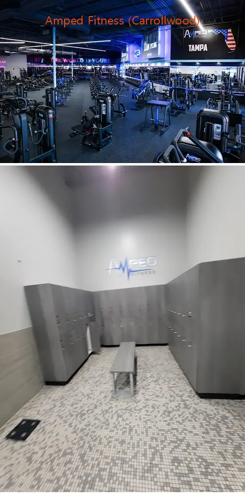 Amped Fitness (Carrollwood)