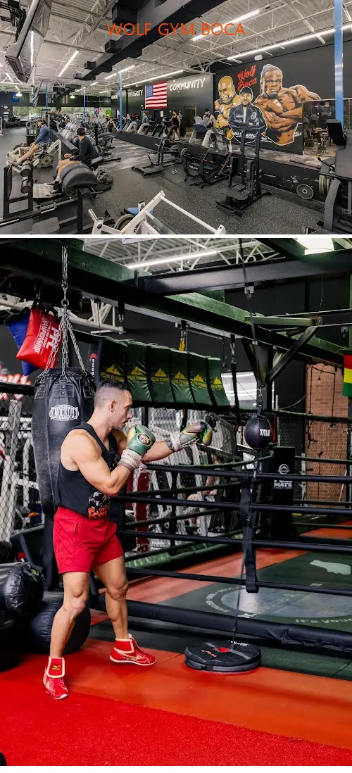 WOLF GYM BOCA