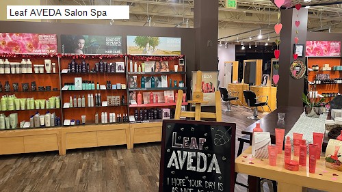 Leaf AVEDA Salon Spa
