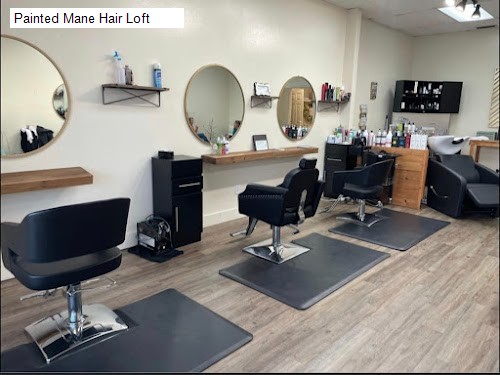 Painted Mane Hair Loft
