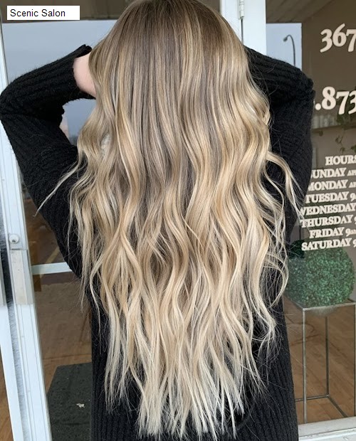 Scenic Salon