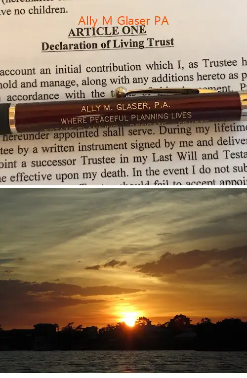 Ally M Glaser PA
