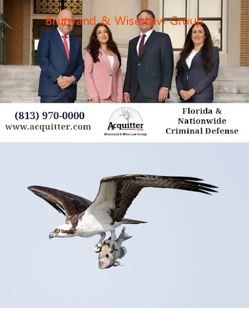 Brunvand & Wise Law Group