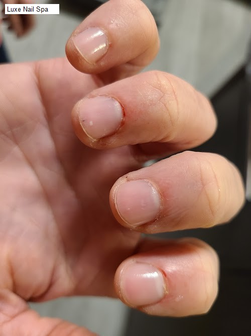 Luxe Nail Spa