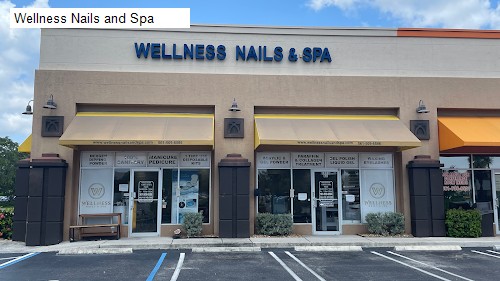 Wellness Nails and Spa