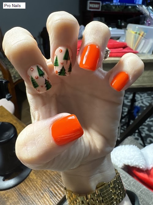 Pro Nails - lakeland