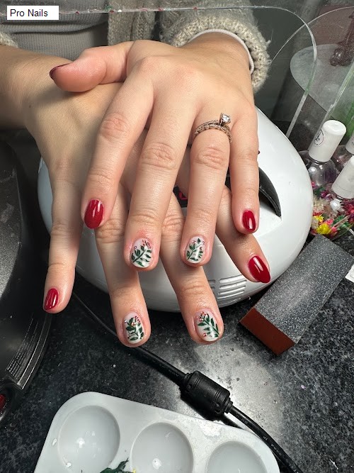 Pro Nails - lakeland
