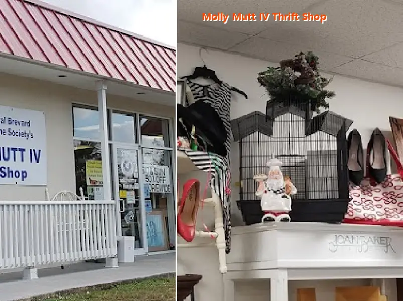Molly Mutt IV Thrift Shop
