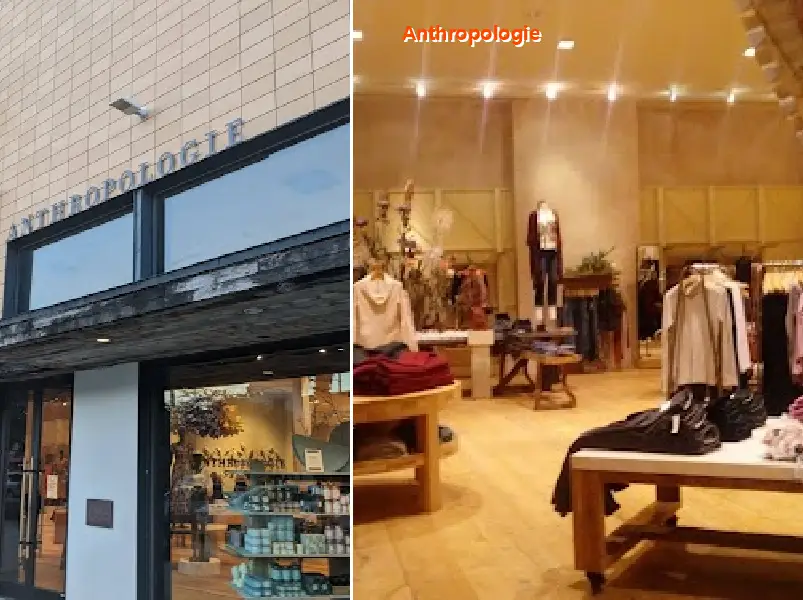 Anthropologie
