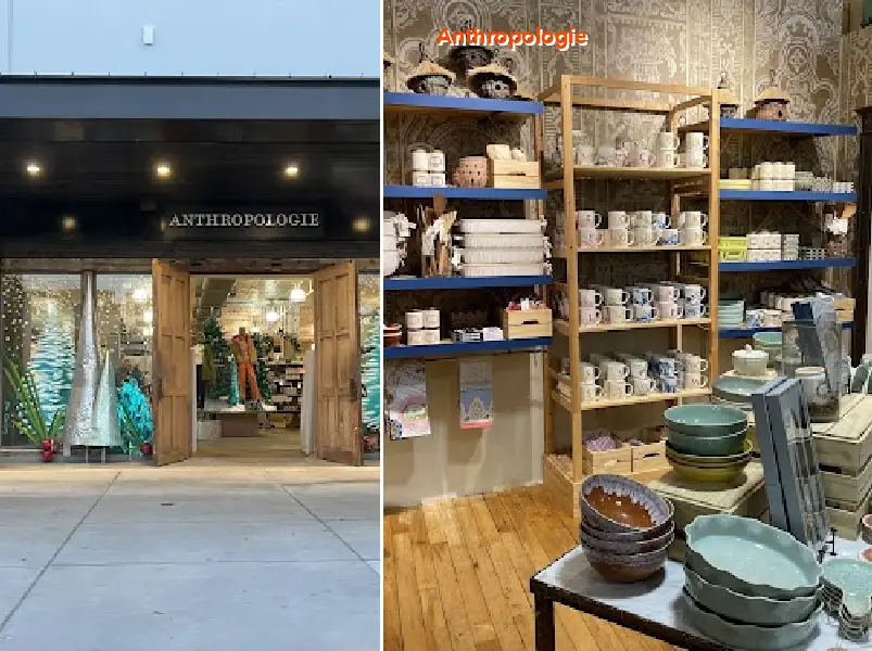 Anthropologie