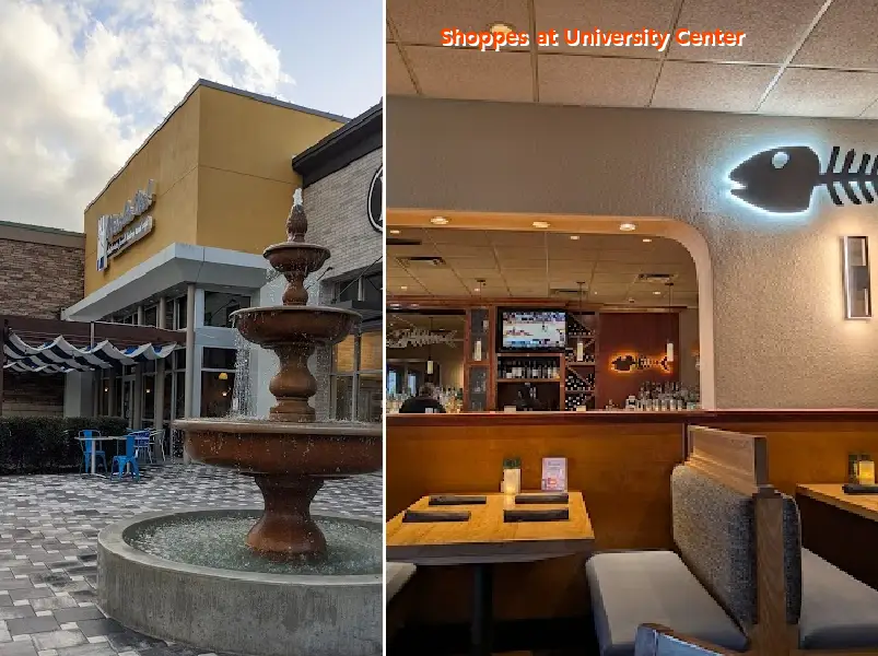 Shoppes at University Center