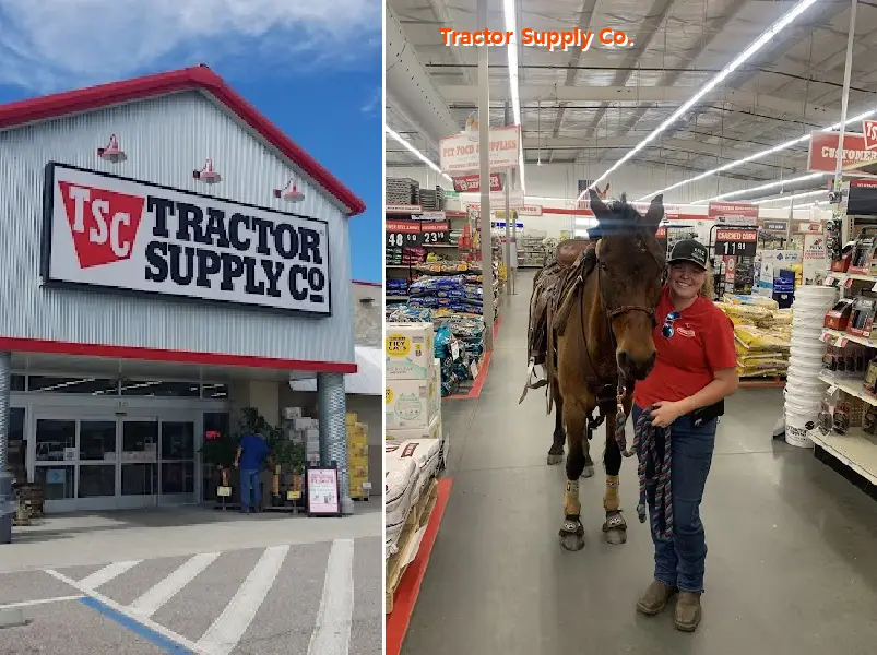 Tractor Supply Co.