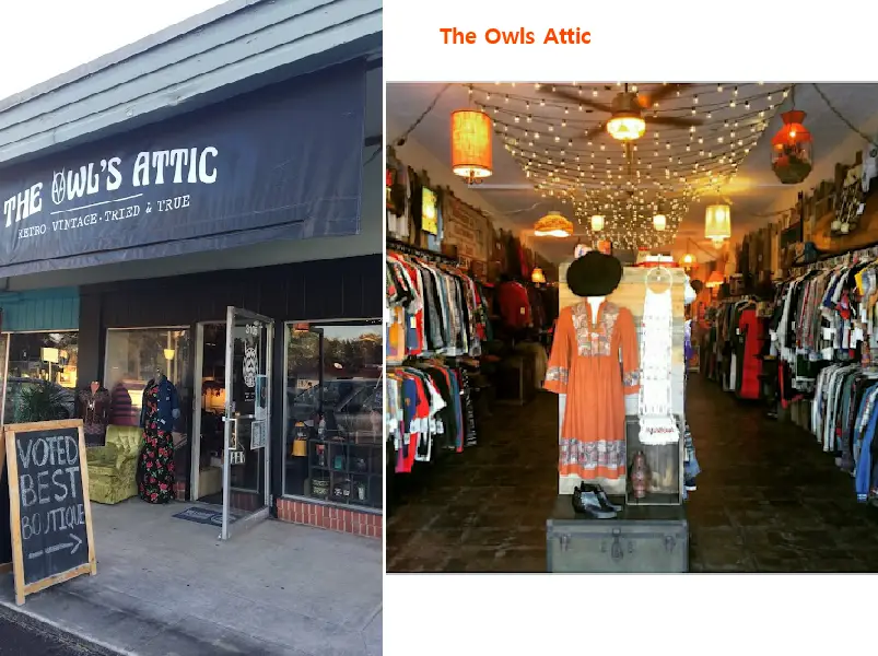 The Owls Attic