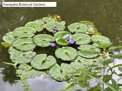 Kanapaha Botanical Gardens