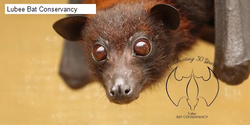Lubee Bat Conservancy