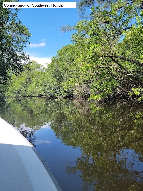 Conservancy of Southwest Florida