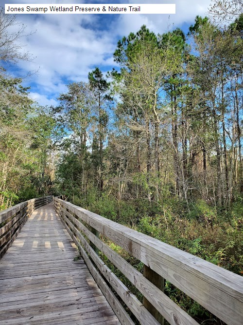 Jones Swamp Wetland Preserve & Nature Trail