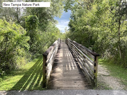 New Tampa Nature Park