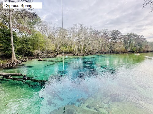 Cypress Springs